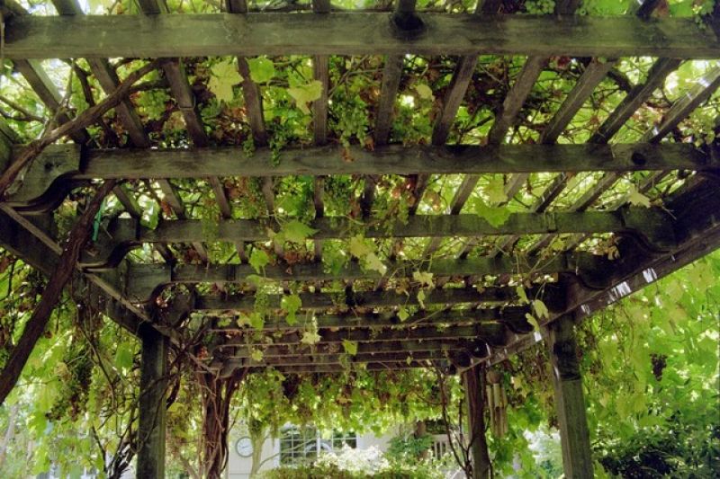 Pergola in Almere hoveniersbedrijf Stevaro