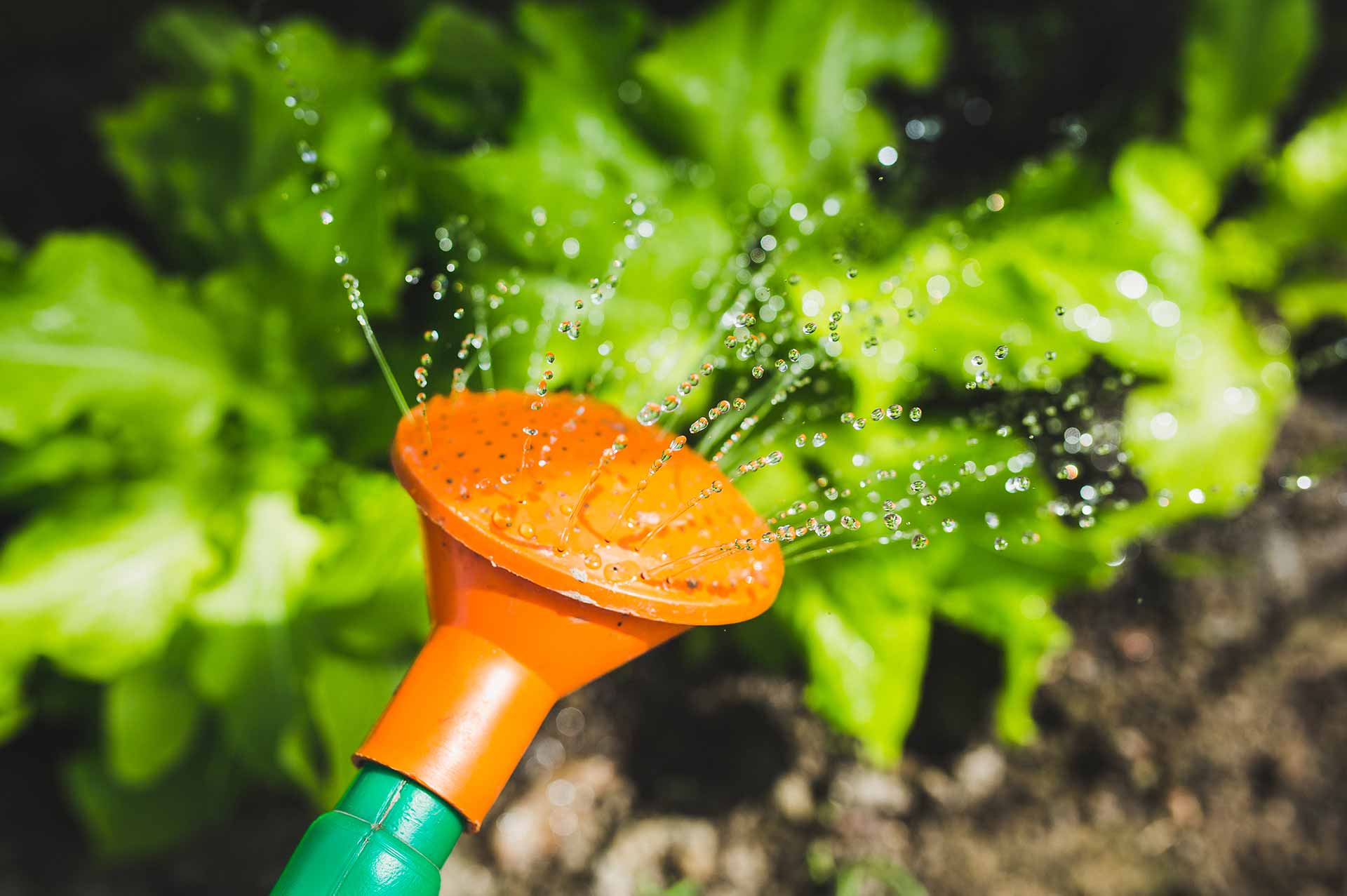 Infiltratie regenwater Infiltratie regenwater